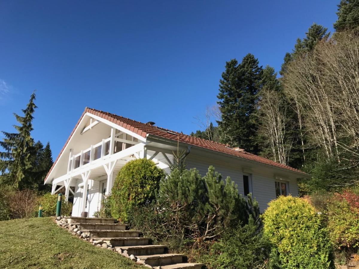 Le Chalet Blanc - Jacuzzi / Piscine / Sauna Gérardmer Extérieur photo